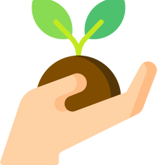 Plant a Tree trtle_generated French Sweet French Sweet